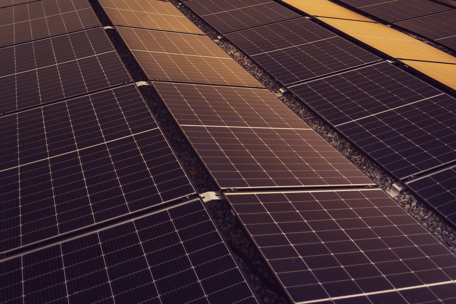 The Illinois Clean Energy Solutions and ARF Solar team